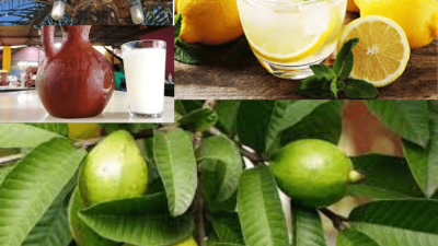 The Potential Wonders of Palm Wine, Lemon, and Guava Leaves in Men’s Libido Enhancement