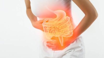 The Role of Probiotics in Maintaining a Healthy Gut Microbiome