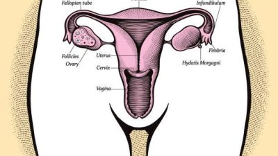 Types of Vaginal Odour: Causes, Meaning & When to See a Doctor