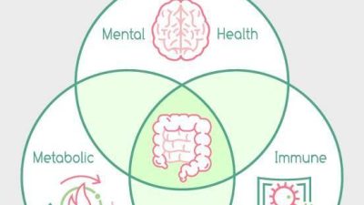 How Gut Health and Diet Shape Your Long-Term Wellness