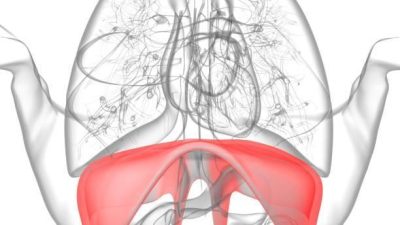 Hiccups — Causes, Meaning, and Remedies for Babies and Adults