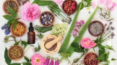 Powerful Herbs That Boost the Body’s Immune System Naturally
