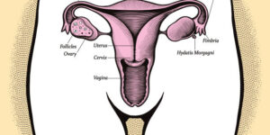 Types of Vaginal Odour